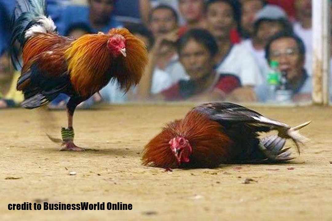 Bulang sa Jaro Fiesta ginpahanugutan sang Iloilo City Council