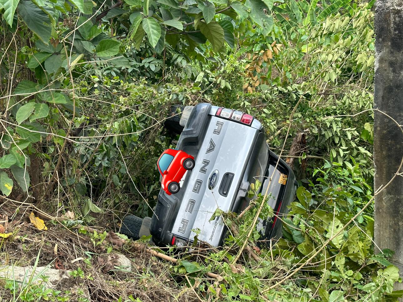 Pick-up nahulog sa pil-as sa Lambunao, Iloilo