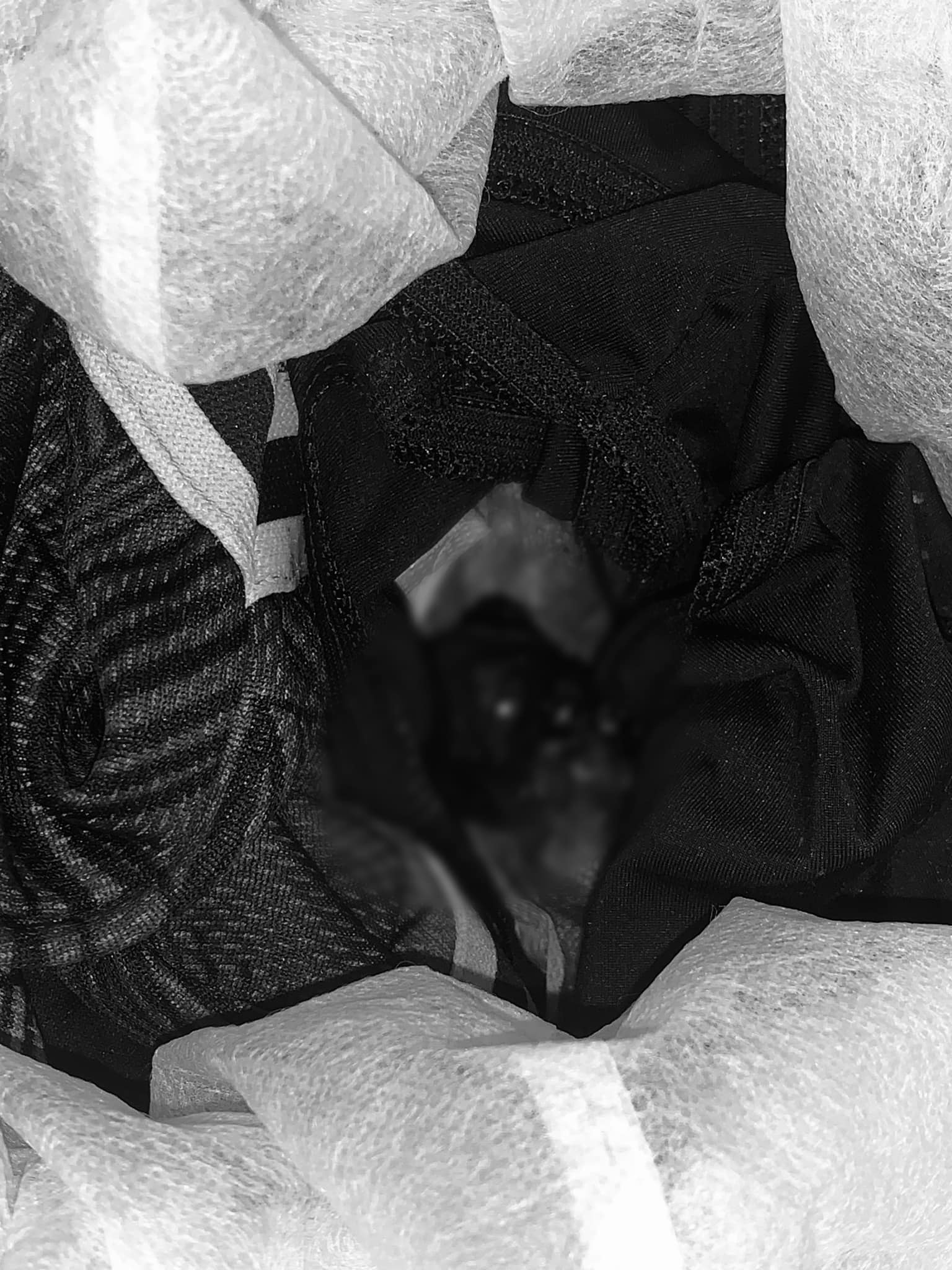 Fetus nasapwan sa sulod sang basurahan sa Molo