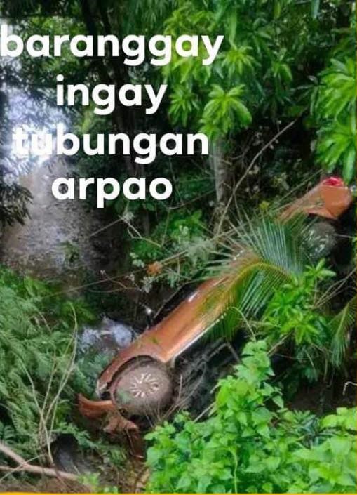 Pick-up nahulog sa pil-as sa Tubungan, Iloilo; Mga sakay wala napilasan
