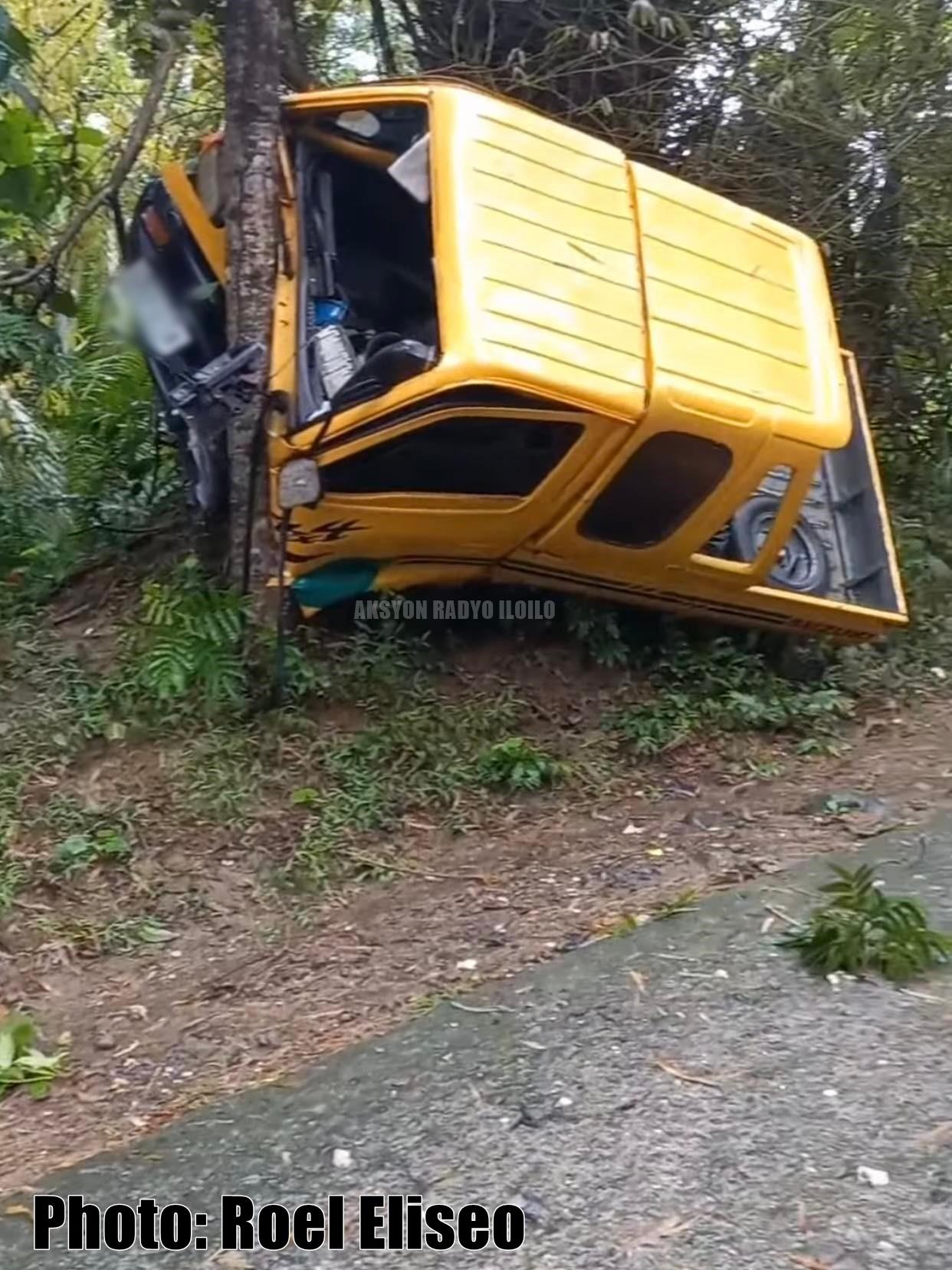 Driver sang multicab pilason sang nakabunggo sa puno sang kahoy