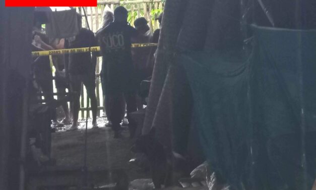 Mag-asawa nasapwan patay sa sulod sang ila balay sa Hamtic, Antique