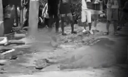 2 pilason sang nakabunggo ang motorsiklo sa pick up sa New Lucena, Iloilo