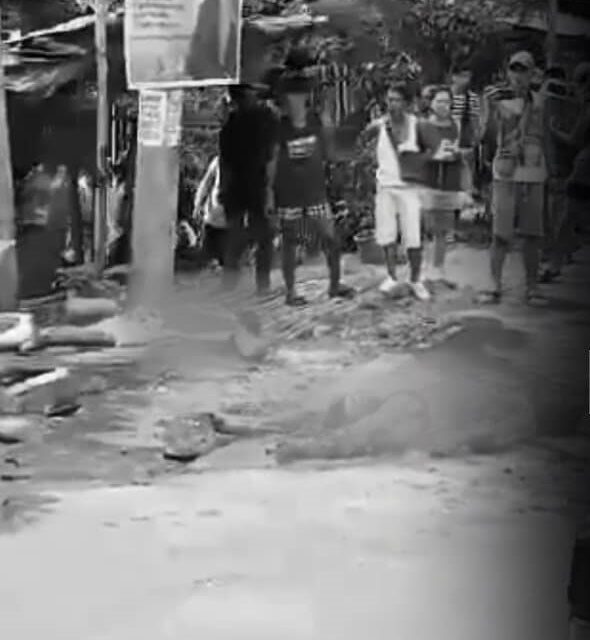 2 pilason sang nakabunggo ang motorsiklo sa pick up sa New Lucena, Iloilo