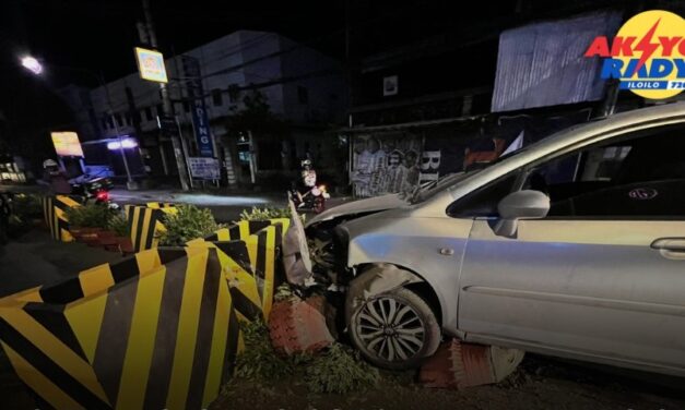 Flower pots, concrete barriers sa Tabuc Suba, Jaro nabungguan sang pribado nga salakyan