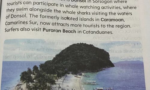 Litrato sang Caramoan Islands nga ginbutang sa Grade 3 Civic book ginkwestyun sang netizen
