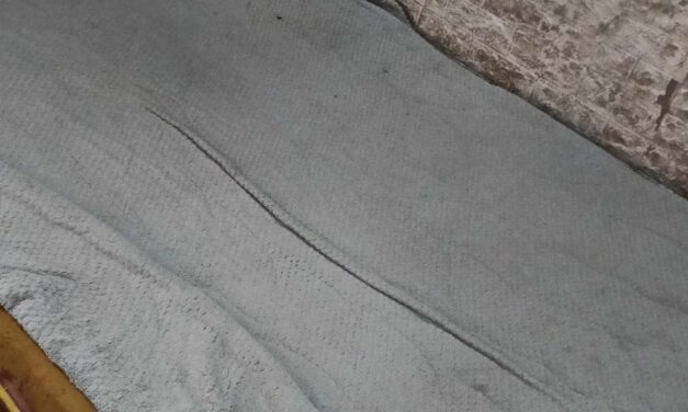 Babaye nga government employee nasapwan patay sa Mandurriao