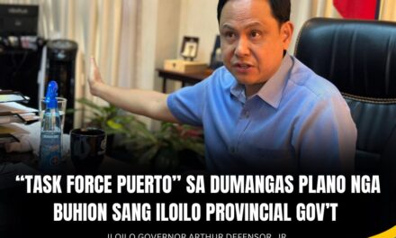 “Task Force Puerto” sa Dumangas Port plano buhion