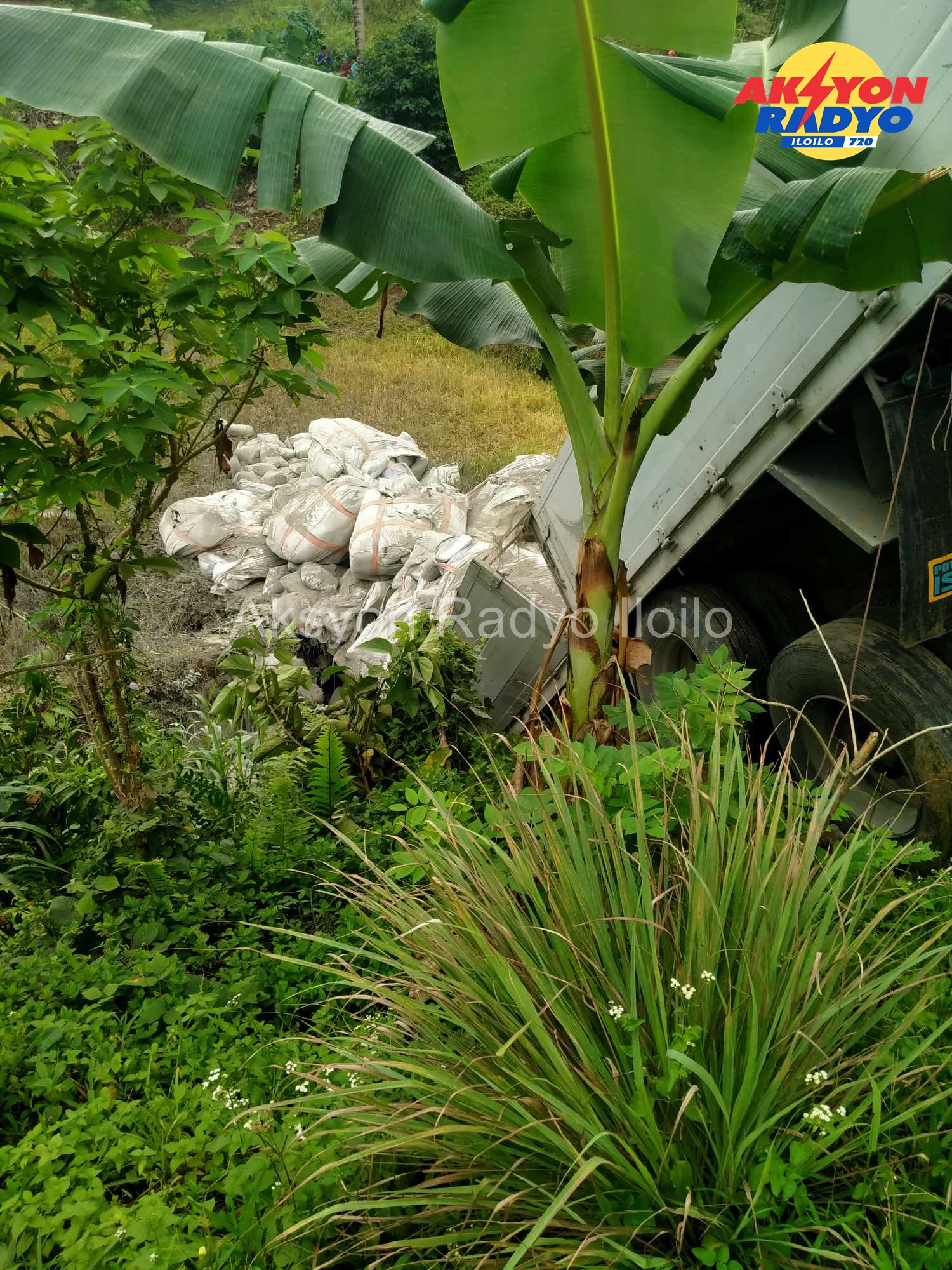 Truck nga may karga nga semento nahulog sa pil-as sa San Enrique, Iloilo