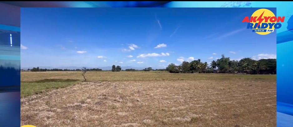 Isa kag tunga sa ektarya nga humayan sa San Carlos, Anilao wala mapuslan