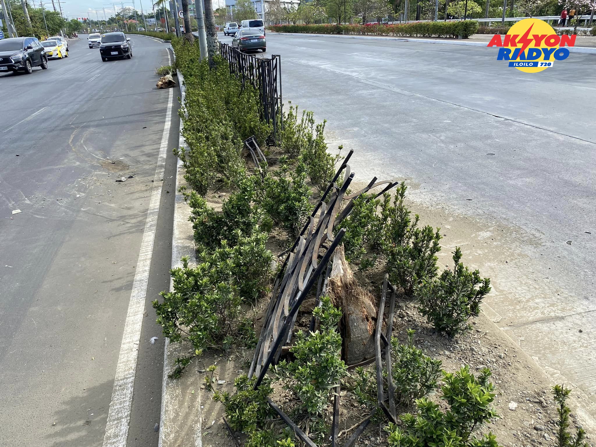 Railings nawasak, puno sang palma nautod sang nakabunggo kag naglapaw ang elf truck sa center island sa Diversion Road, Mandurriao