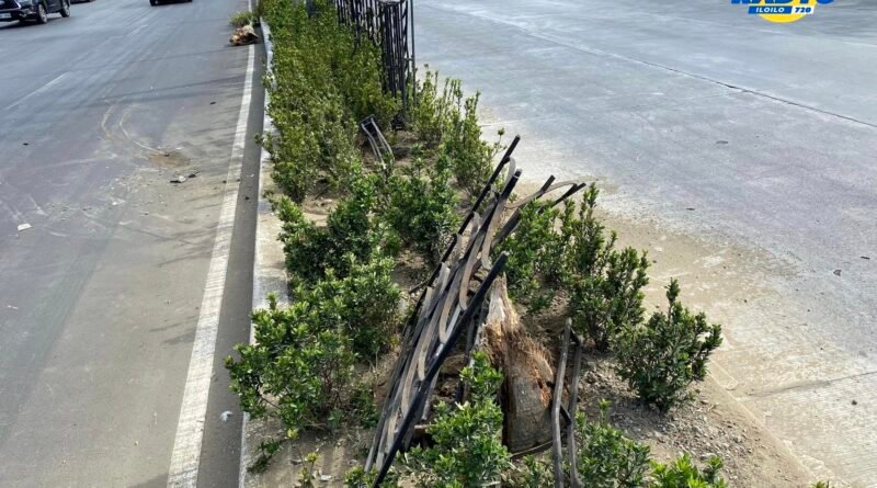 Railings nawasak, puno sang palma nautod sang nakabunggo kag naglapaw ang elf truck sa center island sa Diversion Road, Mandurriao