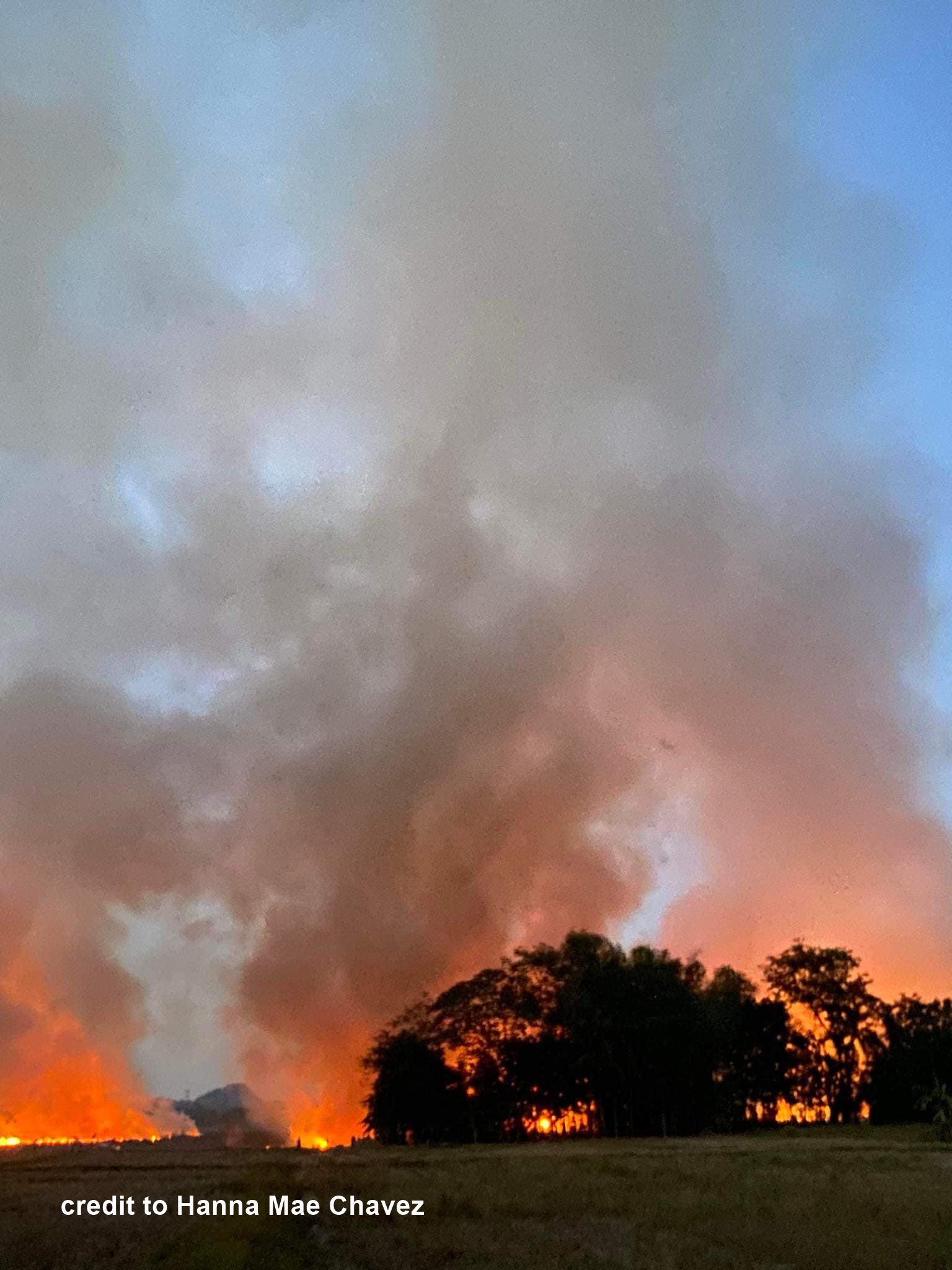 Malapad nga grassfire nagluntad sa Gines Viejo, Passi City