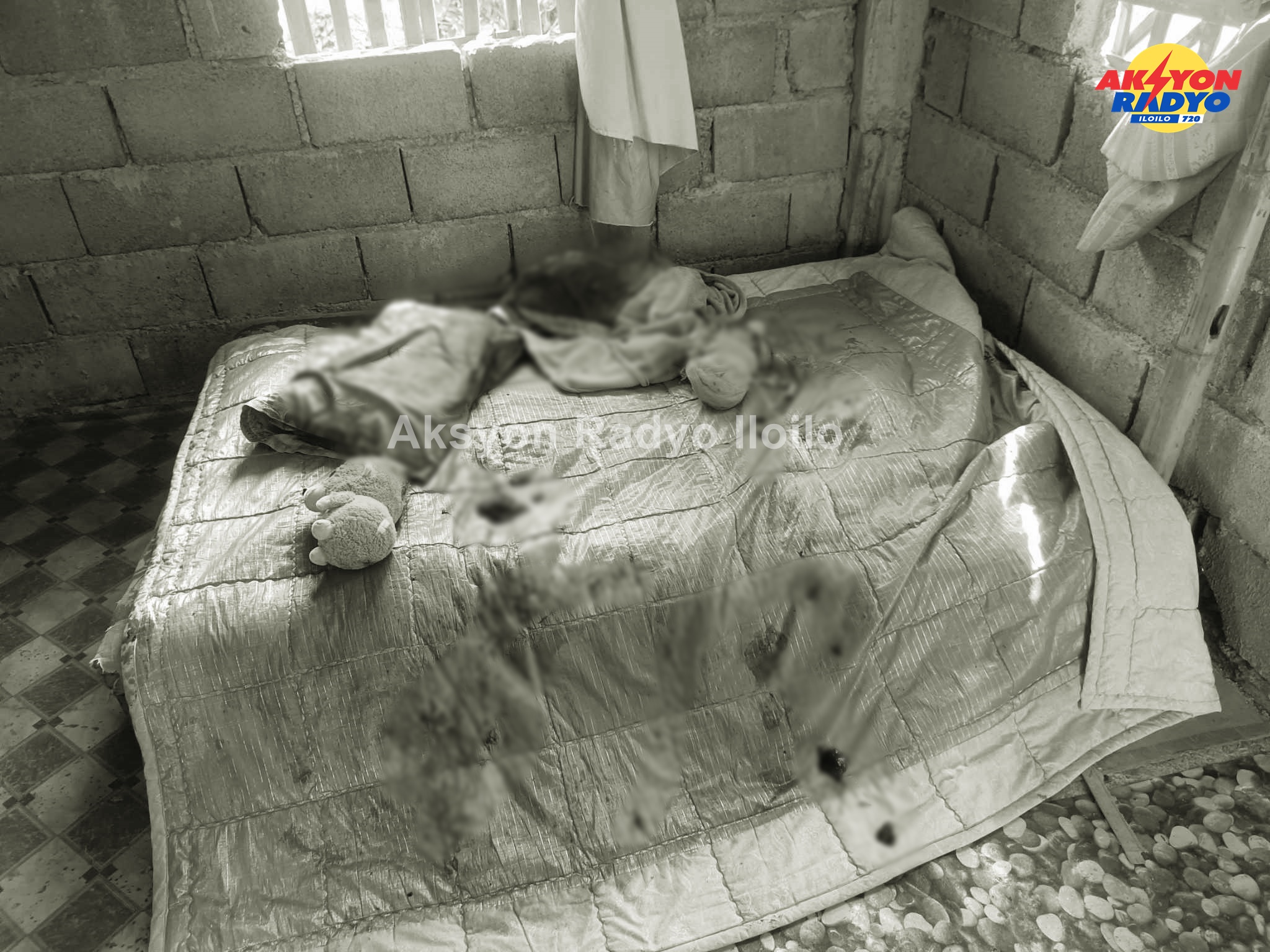 (Update) Suspek sa pagpatay sa tiya kag paghimulos sa iya hinablos sa Sara, napasakaan na sang kaso