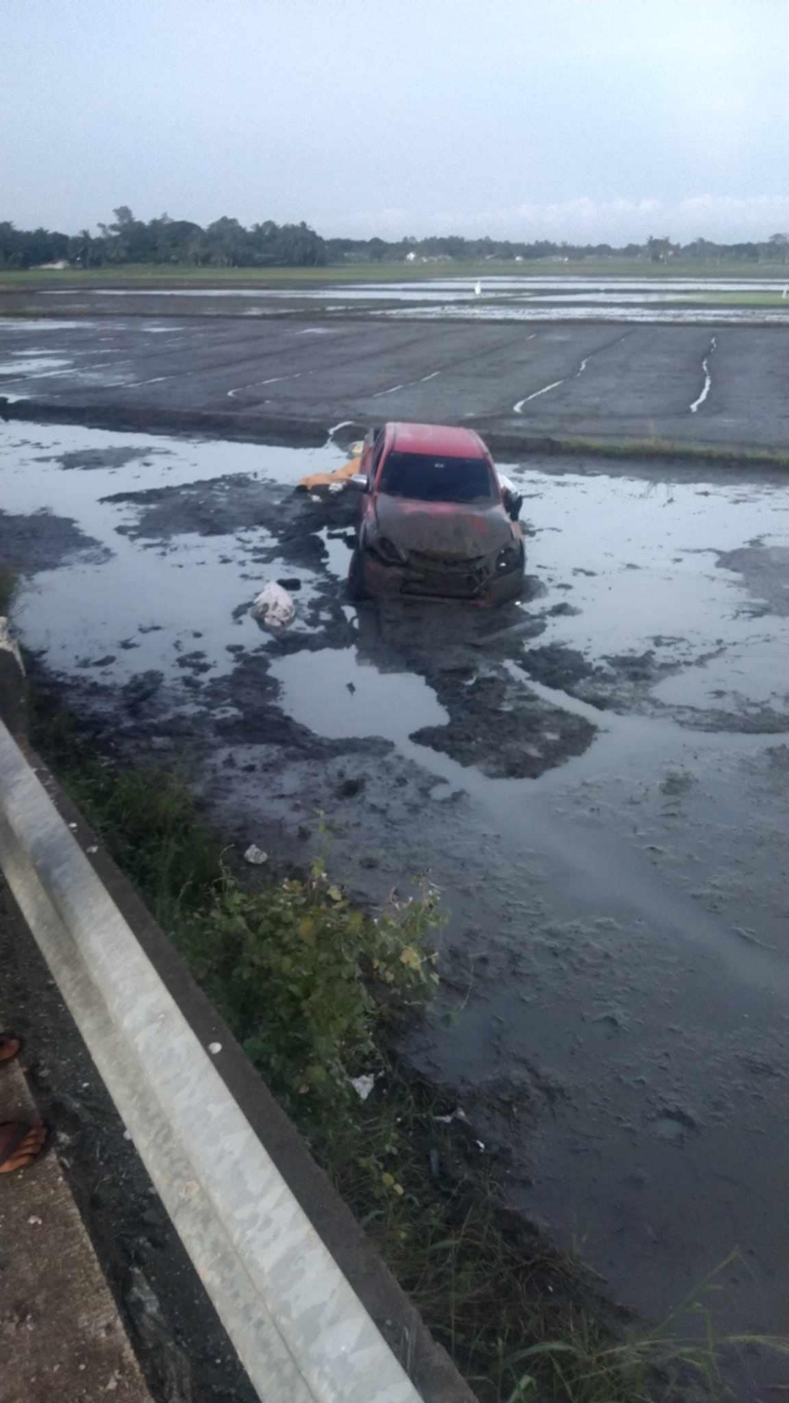 Pick up naglapaw sa dalan kag nagdiretso sa talamnan sa Barotac Nuevo