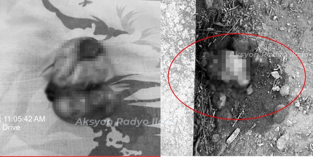 2 ka fetus nasapwan sa sulod sang DENR 6 compound