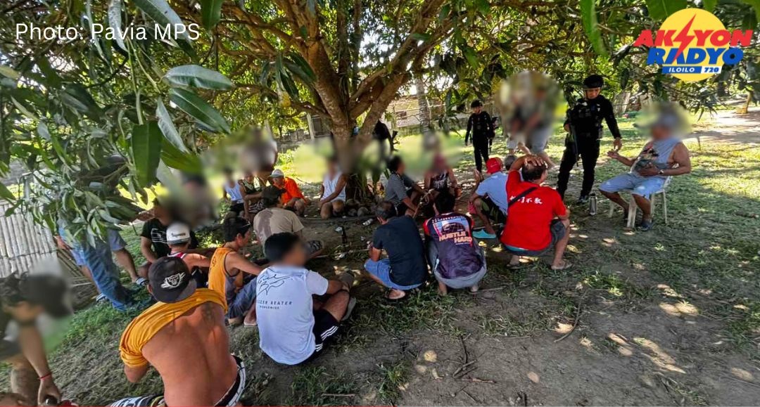 26 ka indibidwal nadakpan sa pauwak sa Pavia