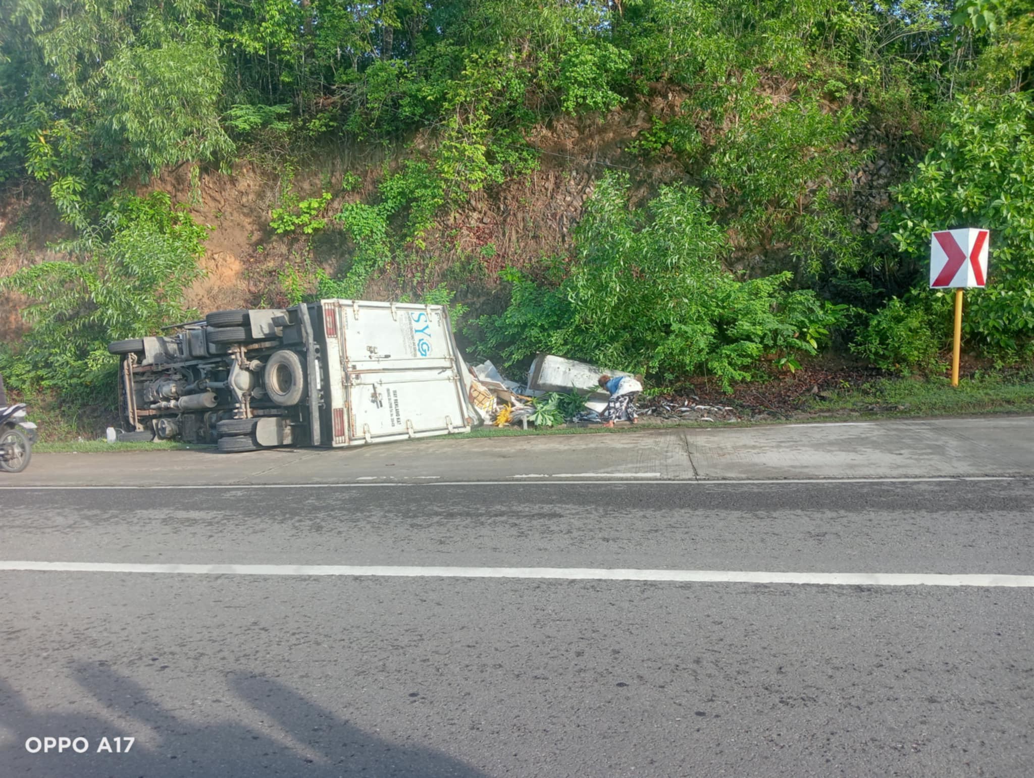 1 patay, 3 pilason sang nagtakilid ang delivery truck nga may karga nga isda sa Barotac Viejo