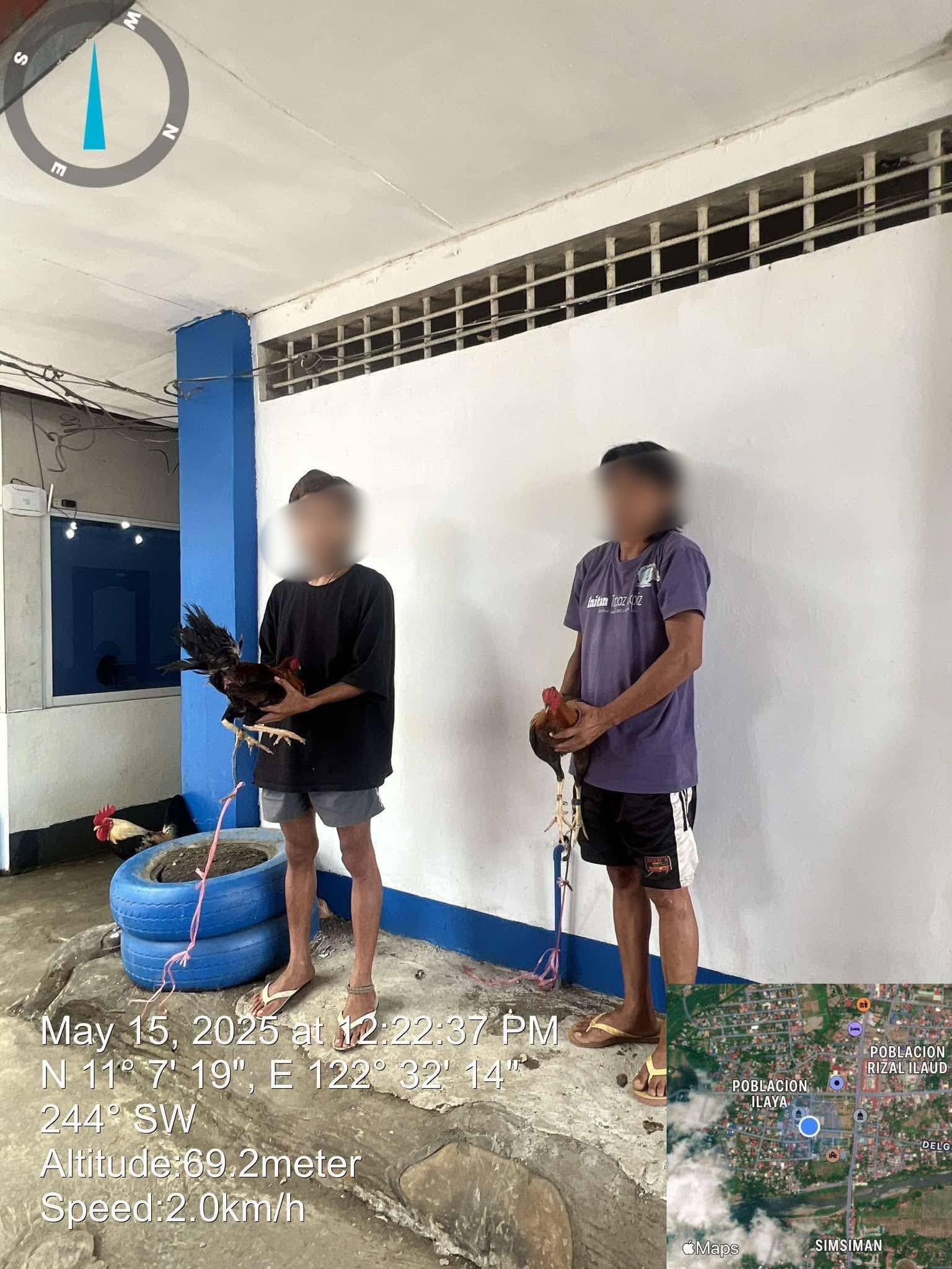 2 arestado sang gin-report nagpangawat sang inugbulang nga manok sa Calinog, Iloilo