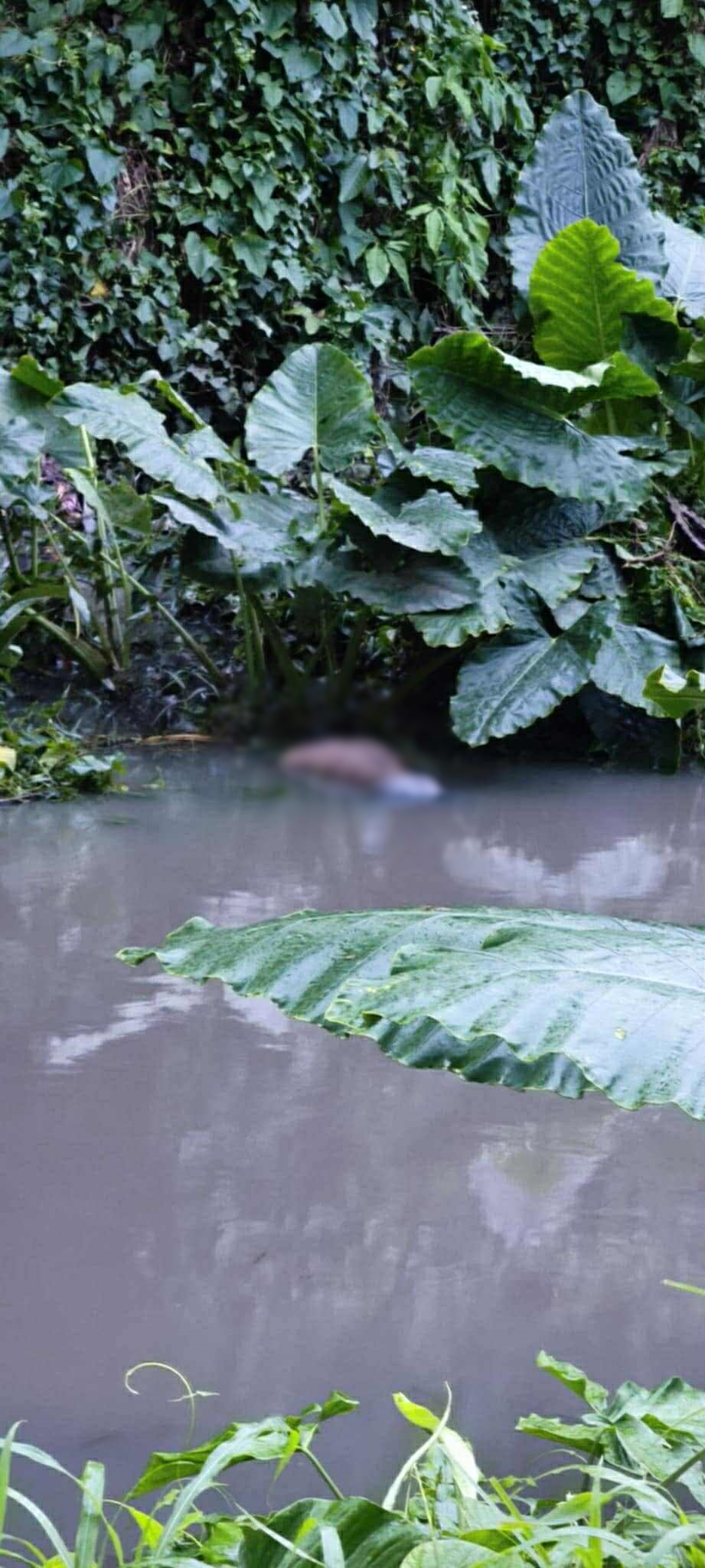 13-anyos nga solterito nga una gin-report nga missing nasapwan sa creek sa Jaro