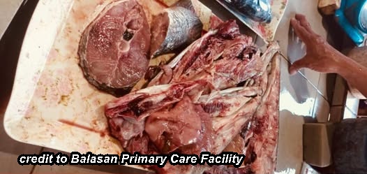 23 ka indibidwal sa Balasan naglain ang pamatyag sang nakakaon sang isda nga bansa