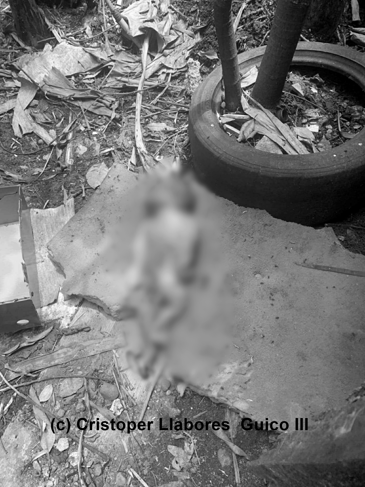 Patay nga lapsag nasapwan sa Oñate de Leon, Mandurriao