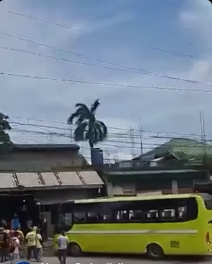 Ceres bus nakabunggo sa karinderya sa Passi City