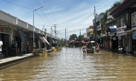 14 ka kabanwahanan sa Western Visayas apektado sang Bagyo Ramil