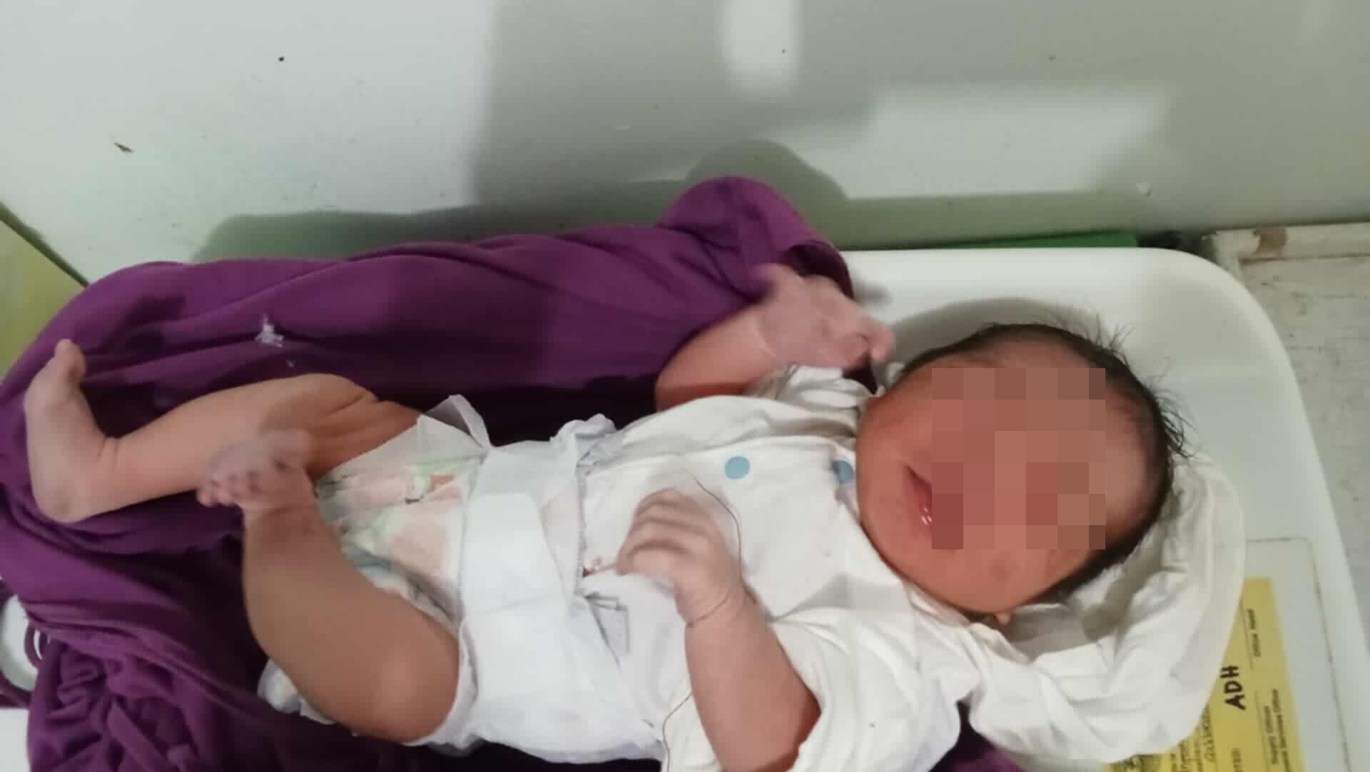 Buhi nga lapsag nakit-an sa abandonado nga tangkal sa Brgy. Anonang, Leon