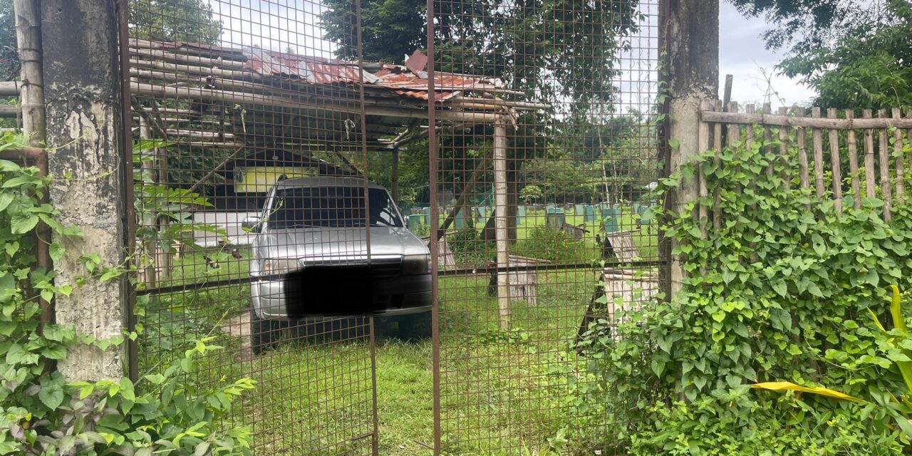 Nagabulig sa manokan patay sang gintiro sang tanod sa San Antonio, Oton