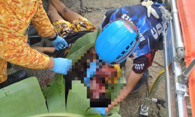 Solterito nga angkas sang motorsiklo patay sang nabungguan sang delivery truck sa Passi City