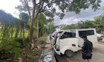 2 patay, 1 pilason sang nakabunggo ang van sa puno sang kahoy sa C1 Road, Brgy. Balabago, Jaro