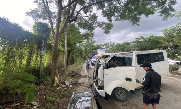 2 patay, 1 pilason sang nakabunggo ang van sa puno sang kahoy sa C1 Road, Brgy. Balabago, Jaro