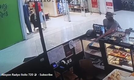 Cellphone sang nagabantay sa kapehan sa mall sa Pavia ginkawat