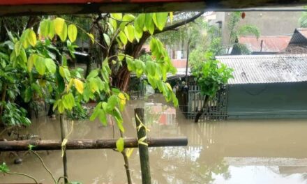 34 ka barangay sa Iloilo City ginbaha tungod sang pag-ulan dala sang bagyo Verbena