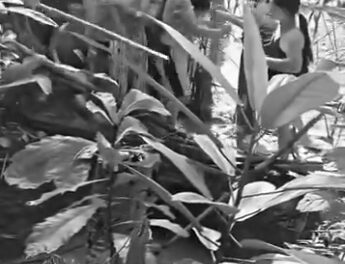 5 ka tuig nga bata patay sang nahulog sa bubon sa Estancia