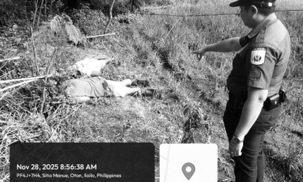 Magtiyo patay sang nakuryente sa Oton