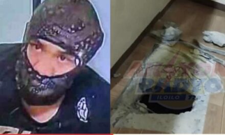 Pavia LGU matanyag sang reward money sa makahatag impormasyon sa mga suspek sa pagpangawat sa GT Town Center