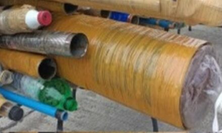 10 ka tuig nga bata nga lalaki nalukpan sang boga sa Cabatuan