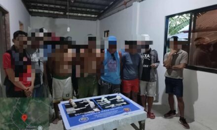 2 dakup, 2 nakapalagyo sa drug buy bust sa Dumangas