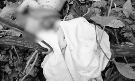 Patay nga lapsag nasapwan sa Wari-Wari, New Lucena