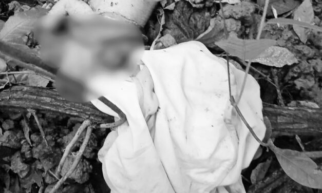 Patay nga lapsag nasapwan sa Wari-Wari, New Lucena