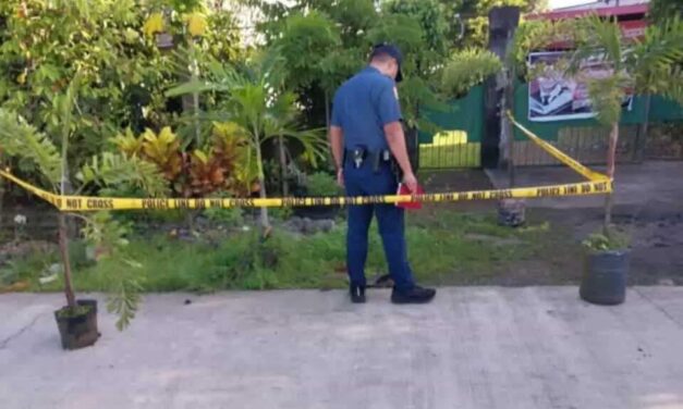 Panday patay sang gintiro sa Lambunao