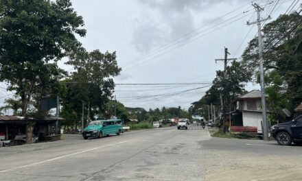 1 patay, 8 pilason sa 10 ka vehicular accidents sa Bangga Dawis, New Lucena sang 2025 – Police