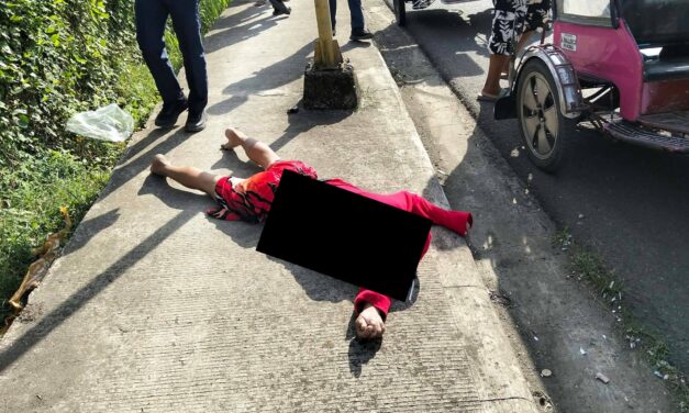 Driver sang motorsiklo nabali ang magtimbang nga butkon sang nakabunggo sa poste sa Leganes