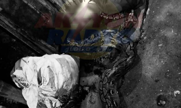 Pangayaw patay sang ginbuntog kag ginburambudan sang magkal sa Bolilao, Mandurriao