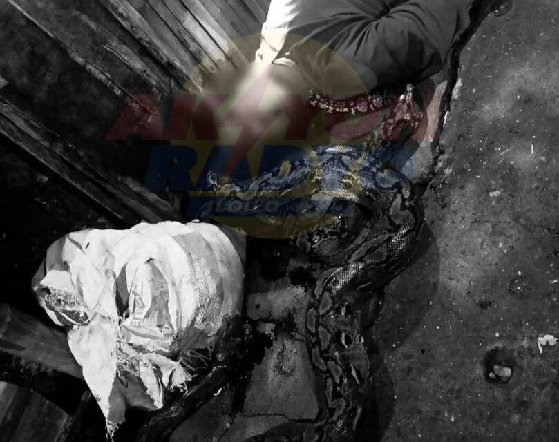 Pangayaw patay sang ginbuntog kag ginburambudan sang magkal sa Bolilao, Mandurriao