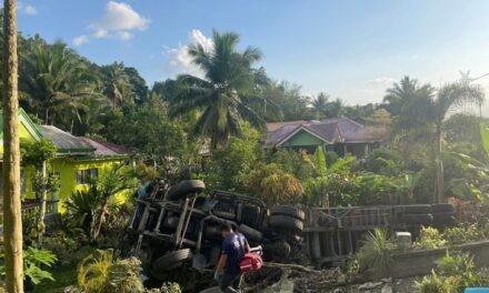 Truck nakabunggo sa gate kag nahulog sa ugsaran sang balay sa Passi City; driver nakaagum sang minor injuries