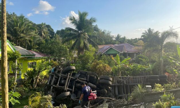 Truck nakabunggo sa gate kag nahulog sa ugsaran sang balay sa Passi City; driver nakaagum sang minor injuries