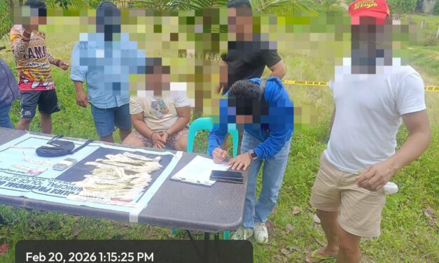 SK chairman sa Sara nakuhaan sang P2 million nga balor sang suspected shabu, marijuana